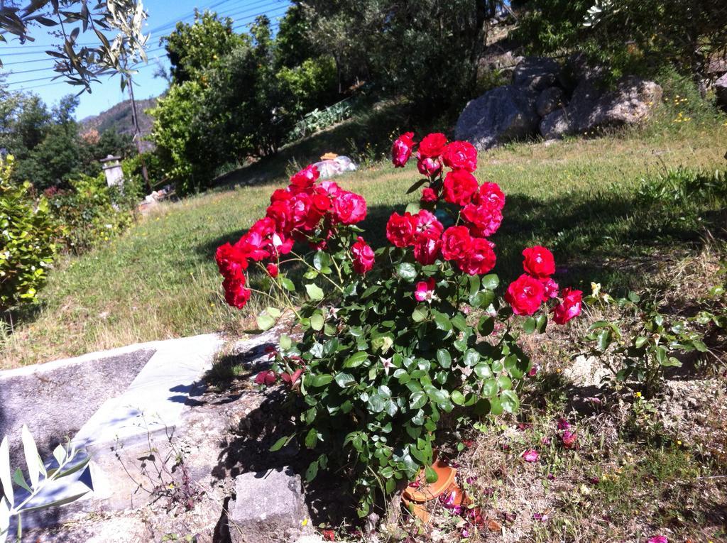 Al Vivenda Romantica Geres Eksteriør billede